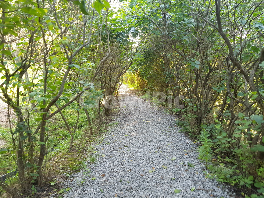 아름다운배경,외로움,길,산책,멋있는,자연,풍경,nature,landscape,dirt road,흙길,road,도로,gravel,자갈