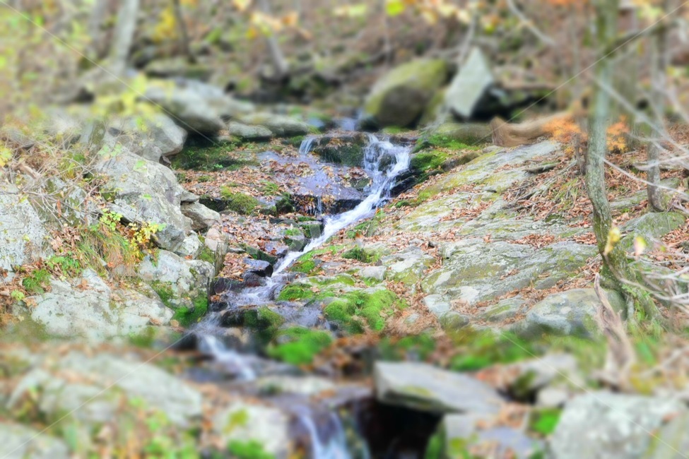 지리산,노고단,작은계곡,흐름,자연,가을,계절,fall,autumn,season,자연,풍경,nature,landscape,water,물,outdoors,옥외,stream