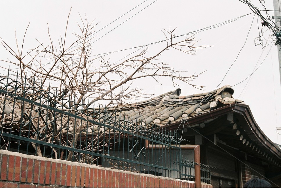 기와집,기와,담벼락,담장,골목길,옛날집,옛골목