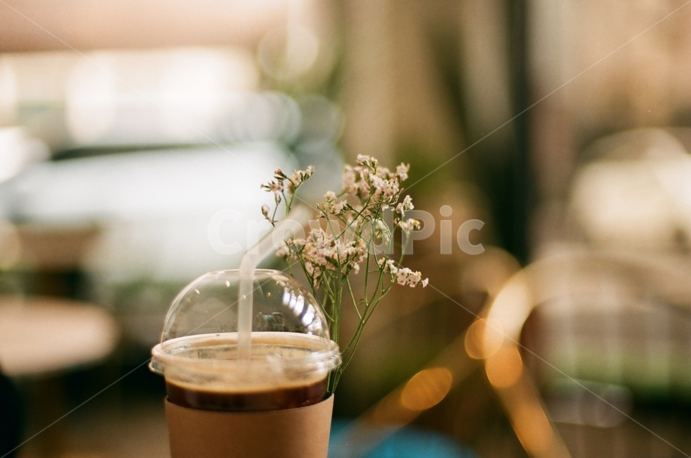아메리카노,테이크아웃,꽃,한송이,드라이플라워,아웃포커스,커피,카페,coffee,cafe,감성,sensible,feeling