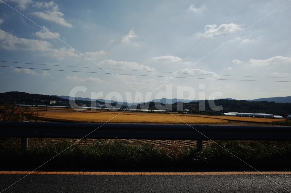 가을,풍경,하늘,날씨,도로,시골,마을,풍경,landscape,country,rural,town