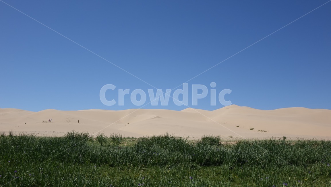 풍경,자연,nature,scenery,모래,모래언덕,dune,sand,초원,하늘,green,blue