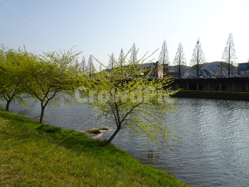 순천,동천,하천,강,순천동천,자연,풍경,nature,landscape,water,물,outdoors,옥외