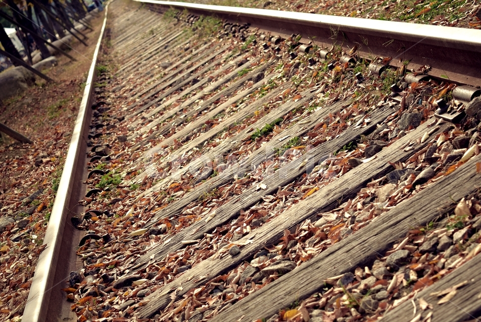 transportation,교통,rail,레일,traintrack,기찻길,railway,철도,gravel,자갈,dirtroad,흙길,road,도로
