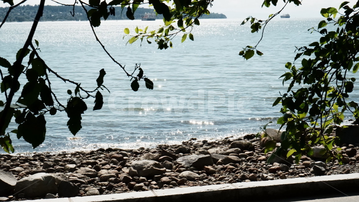 여름,바다,햇살,휴양,휴가,summer,beach,sunshine,vacation,필름,film
