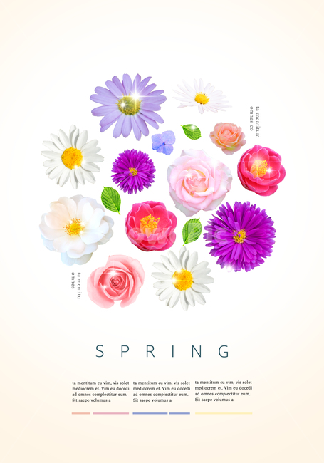 꽃,봄꽃,장미,국화,표지,전단지,브로슈어,카달로그,봄,계절,spring,season,꽃,flower,그래픽,일러스트레이션,graphic,illustration,art,미술