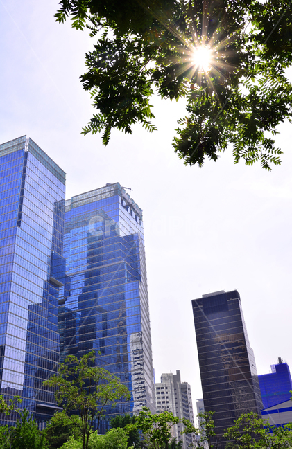 고층빌딩,빌딩가,대기업,인텔리전트,스카이라인,랜드마크,회사,기업,오피스,오너,회장,사장,사무실,임직원,비즈니스,샐러리맨,업무,사무,직장,일터,백그라운드,바탕,배경,임대,매매,부동산,리스,금융가,씨이오,뱅크,빌딩,초고층,중심가,한복판,서울,하늘,유리창,건축물,건물,오피스텔,건축,증권가,투자,높은,building,city,officebusiness,seoul,lease,도시,풍경,city,landscape,한국도시풍경,한국도시경관,korea cityscape,건축물,건물외관,exterior,building,structure,architecture,construction,금융,돈,finance,banking,money,비즈니스,사업,business,service,work,office building,사무실 건물,시티,town,urban,어반,high rise,고층 건물