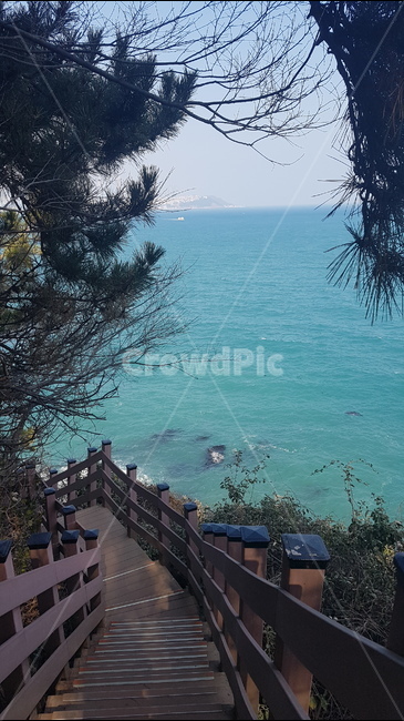 계단,바다,바닷가,파도,해안가,수평선,자연,풍경,절경,해안도로,하늘,절벽,해안절벽,나무,윤슬,물거품,부산,이기대,해파랑길,겨울바다,파란색,바위,자연,풍경,nature,landscape,water,물,promontory,곶