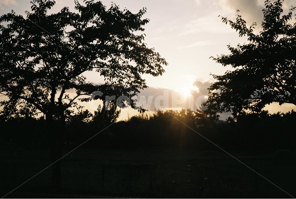 석양,노을,역광,경주,황룡사지,감성사진,sunset,againstthelight,kyongju