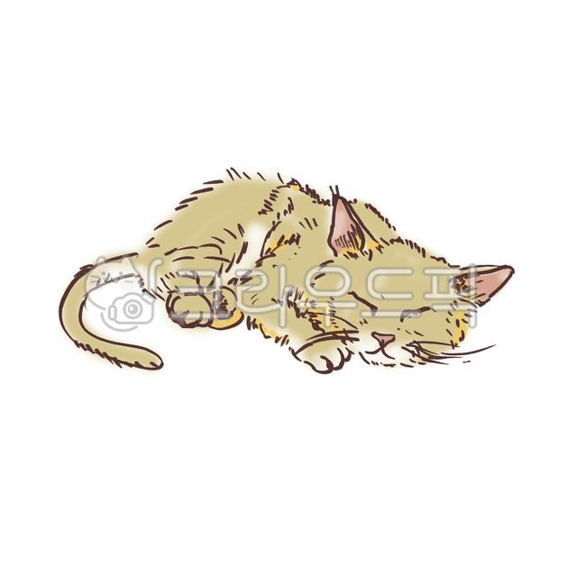 cat,sleeping,animal,art,handdrawing,soft,cute,comfortable,cozy,art,sketch
