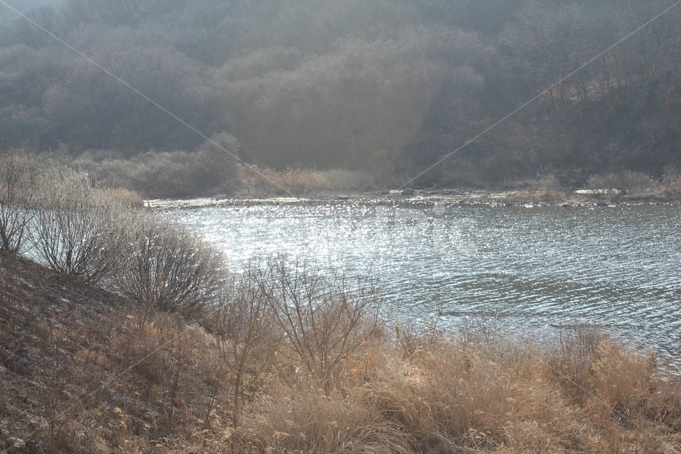 강,풍경,강가풍경,물,자연,자연,풍경,nature,landscape