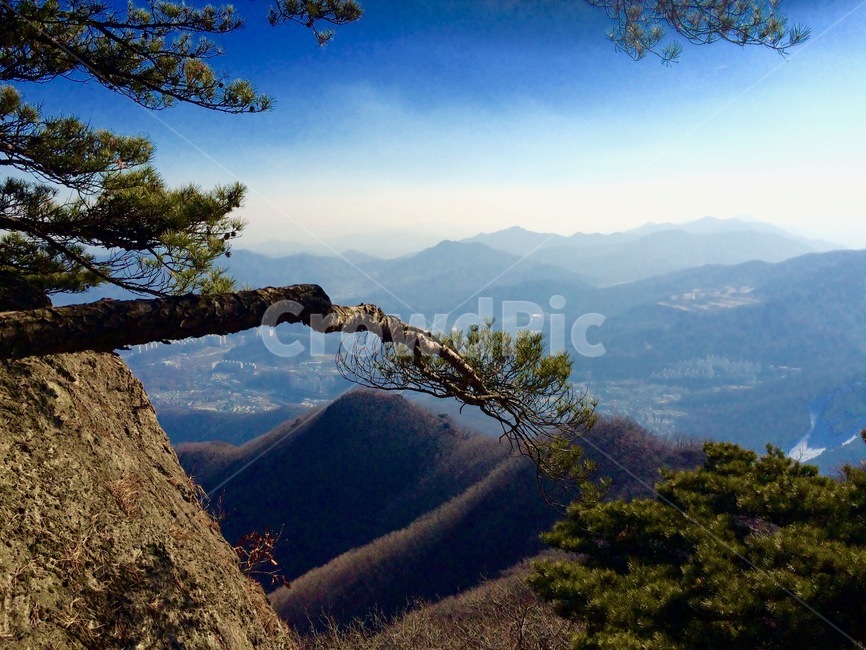 풍경,배경,나무,산,등산,하늘,자연,풍경,nature,landscape,tree,plant,식물