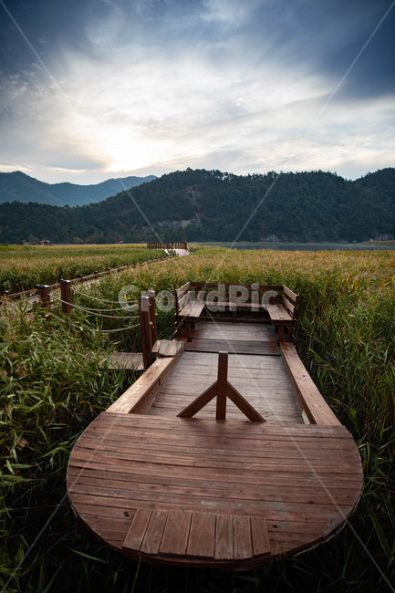 아침,순천만,순천만습지,구름,나룻배,자연,풍경,nature,landscape,wood,나무