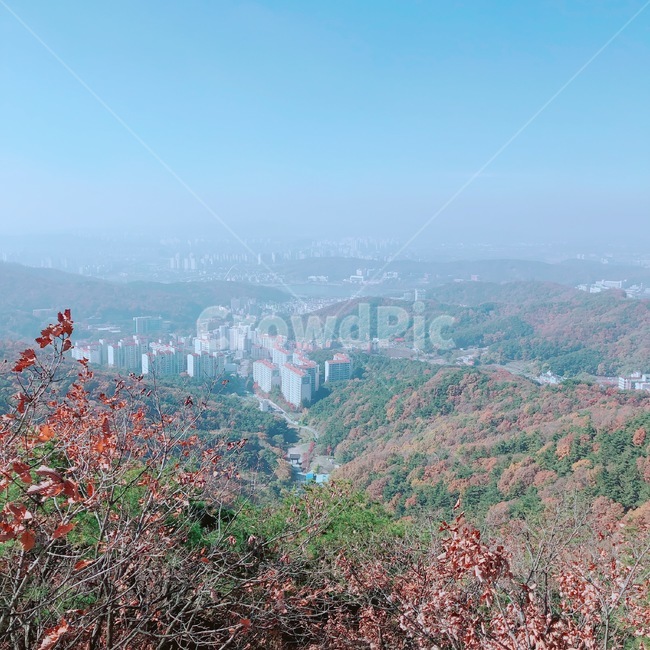 태조산,대머리바위,산,미세먼지,산새,등산,등반