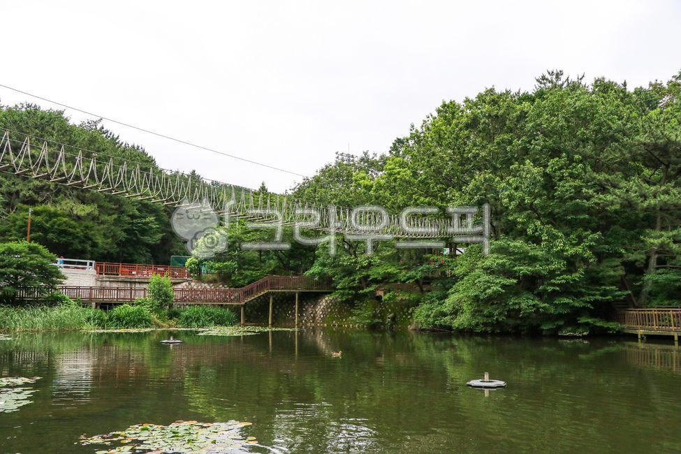 자연,nature,풍경,outdoors,옥외,water,물