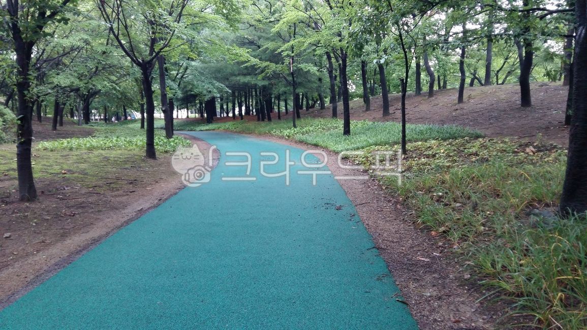 자연,공원,삼림지,자전거길,산책길