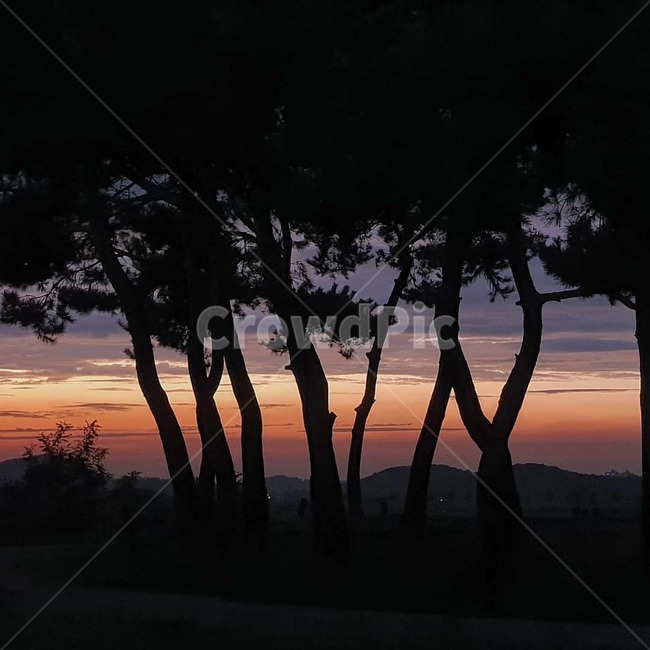 황혼,일몰,sunset,하늘,그림자,나무