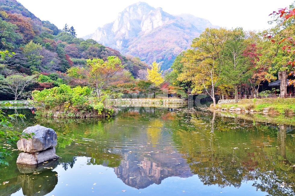 장성,백양사,연못,반영,백학봉,가을,바위,관광,nature,자연,water,백양사가을,백양사연못,은행나무,내장산국립공원,가을,계절,fall,autumn,season,자연,풍경,nature,landscape,물,outdoors,옥외