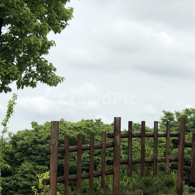 하늘,구름,나무,식물,여름,울타리,자연,초록,흰색,갈색,sky,sora,cloud,kumo,tree,ki,plants,shokubutsu,summer,natsu,fence,nature,green,midori,white,shiro,brown,chairo