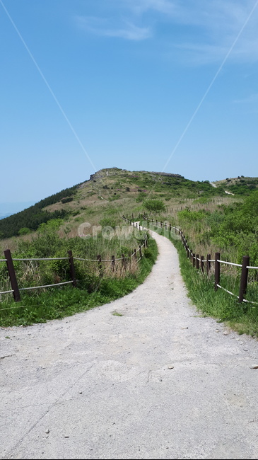 자연,road,way,outdoors,nature