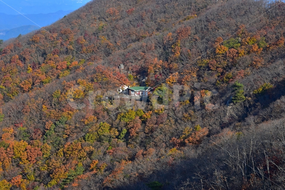 대둔산,가을,풍경,단풍,탐방,도립공원,빨간단풍,파란하늘,가을색,오색,울긋불긋,알록달록,그림같은,칼라풀,뷰티플,아름다운,힐링,감성,자연,정취,산세,명산,100대명산,nature,산,등산,트레킹,풍경사진,비경,경치,가을사진,가을색채,가을의정취,맑음,청명,가을날씨,경관,기암,암봉우리,mountain,금산,완주,논산,낙조대,낙조산장,마천대,케이블카,구름다리,삼선계단,가을,계절,fall,autumn,season,자연,풍경,nature,landscape,한국자연풍경,한국자연경관,korea nature landscape,outdoors,옥외,scenery