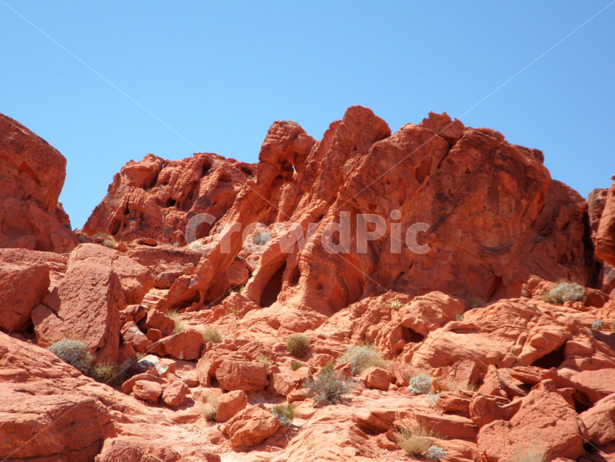 불의계곡,코끼리바위,네바다,미국,주립공원,valleyoffire,elephantshaped,nevada,usa,붉은바위,red,rock,푸른하늘,blue,sky,자연,nature,옥외,outdoors,풍경,landscape