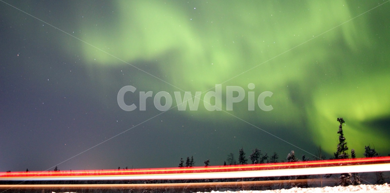 오로라,오로라헌팅,별과오로라,옐로나이프,침엽수,겨울밤하늘,빛궤적,댄싱오로라,옐로우나이프,야경,밤,풍경,nightscape,night,landscape,nature,자연,outdoors,옥외