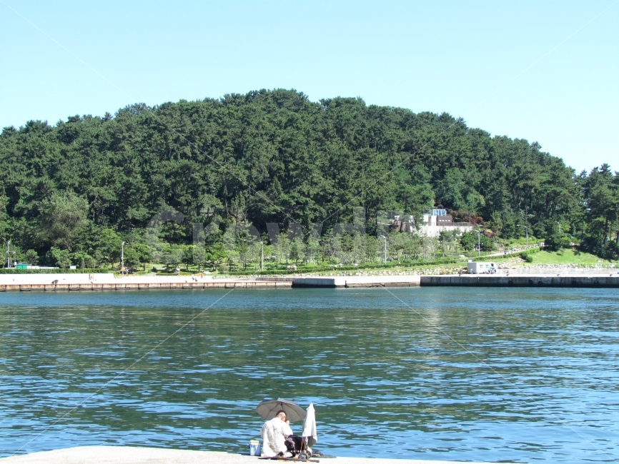 자연,풍경,낚시,바다,사진,휴식,힐링,rest,relaxation,healing,사람,인물,인간,human,person,남성,남자,man,male
