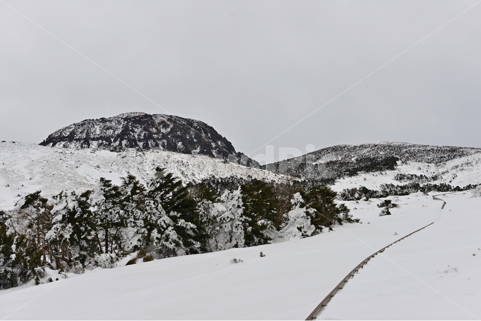 제주,한라산,한라산설경,오름,설경,겨울,계절,경치,경관,풍경,영실,윗세오름,outdoors,옥외,snow,눈,nature,자연,mountain,산,plant,식물,tree,나무,fir,전나무,겨울,계절,winter,season,자연,풍경,nature,landscape