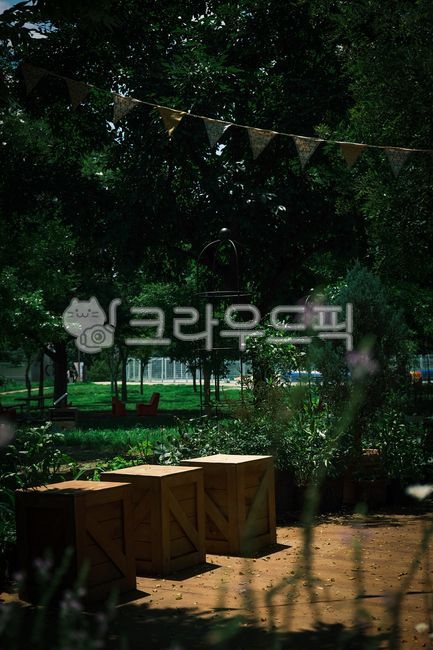 Ttukseom,Ttukseom Hangang Park,mystery,grass,tree,box,shelter