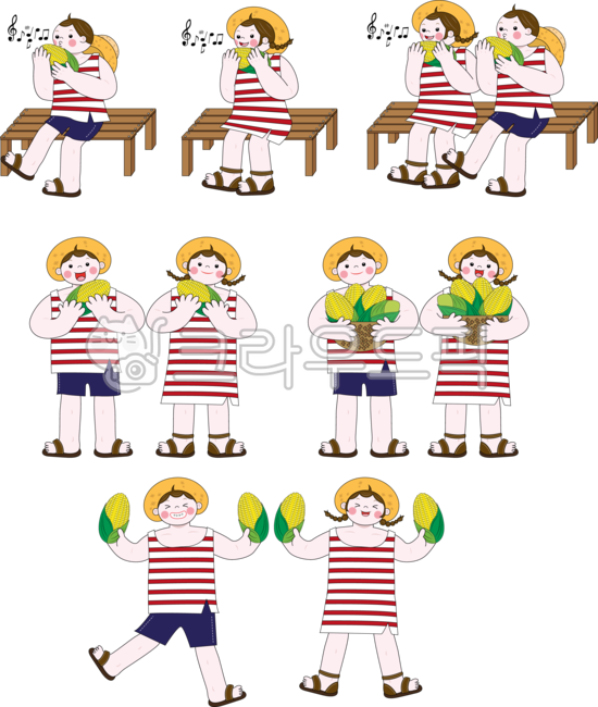 Corn experience,waxy corn,summer fruit,corn corn,Corn silk tea,Gangwondo corn,Countryside experience,Chodang Corn,Rural experience,summer,summer food,corn kernels,corner,summer vegetables,harvesting,corn tea,person,New corn