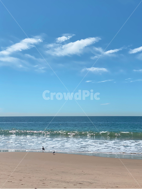 바다,nature,outdoors,californiabeach,crystalcove,sea