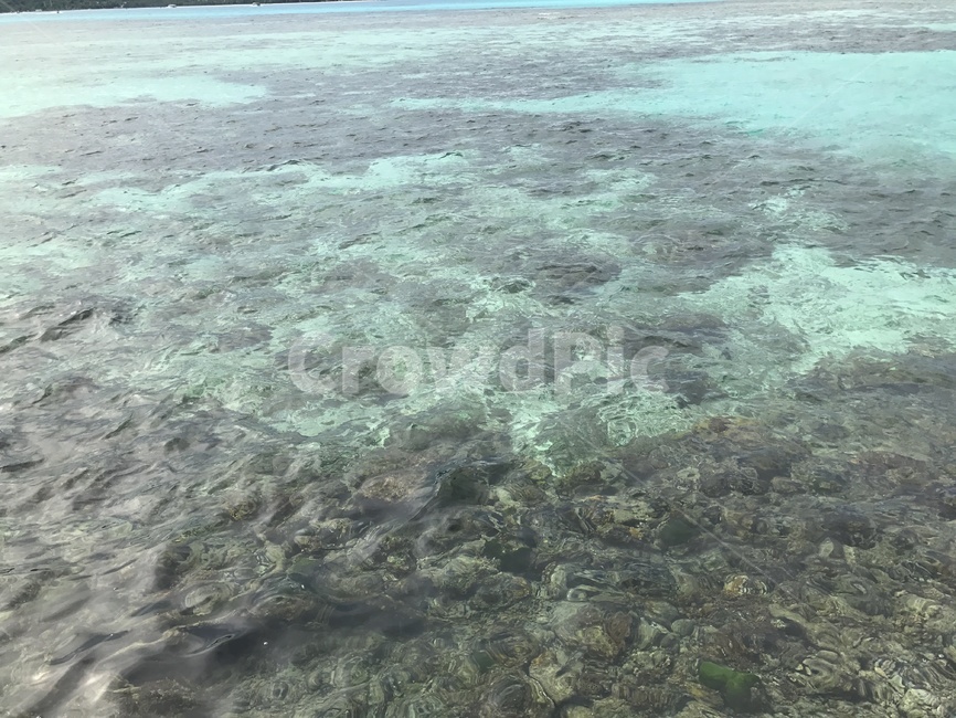 nature,자연,outdoors,옥외,water,물,sea,바다,ocean,shoreline,해안선,island,섬,coast