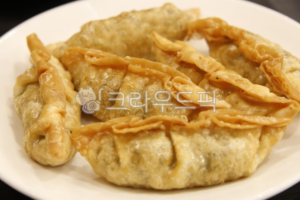 중식,중국음식,튀김만두,야끼만두,만두,군만두,접시,간식,음식,식재료,요리,food,cook,meal,dishes,food reserves