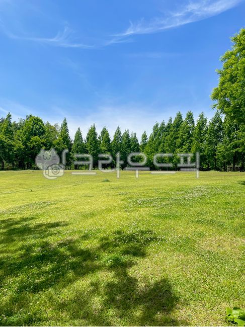 공원, 나무, 숲, 들판, 자연, 사진,이미지,일러스트,캘리그라피 - JOFREE조프리작가