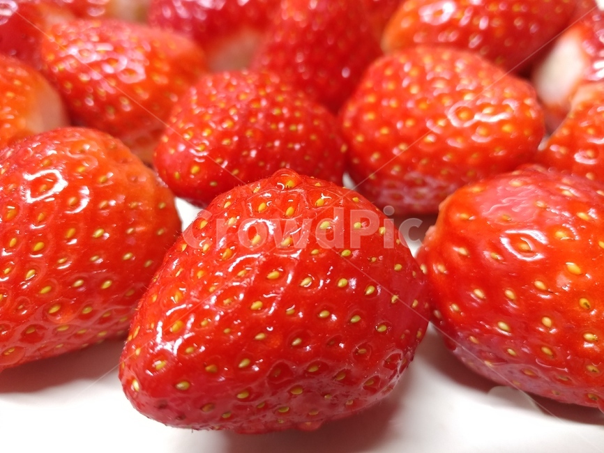 딸기,과일,strawberry,food,음식