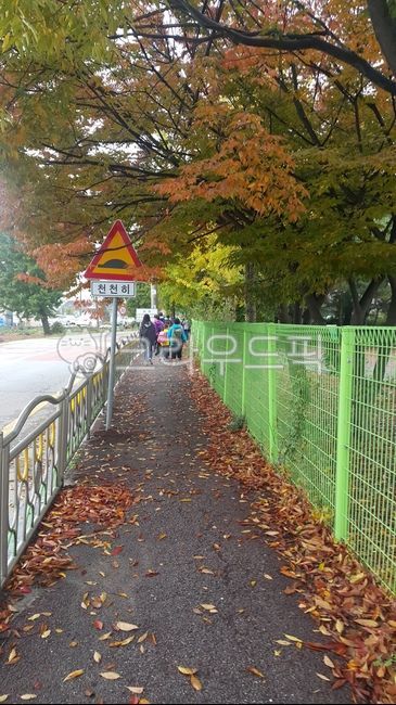 하교길,가능,학교앞,가을풍경,천천히표지판