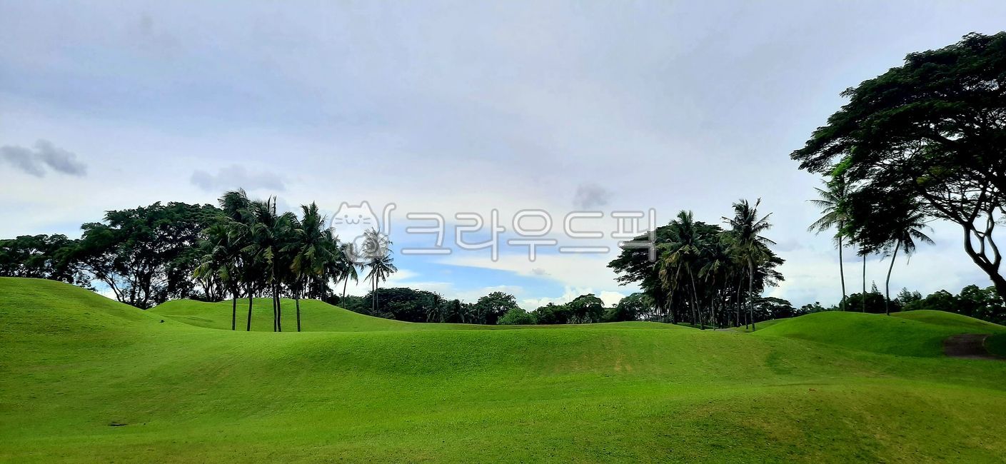 field,golf course,fairway,Indonesia Golf,golfcourse,Southeast Asia Golf