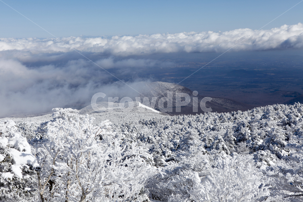 겨울,한라산,설경,자연,눈꽃,겨울,계절,winter,season,자연,풍경,nature,landscape,한국자연풍경,한국자연경관,korea nature landscape,outdoors,옥외,ice,빙,mountain,산,snow,눈,glacier,빙하