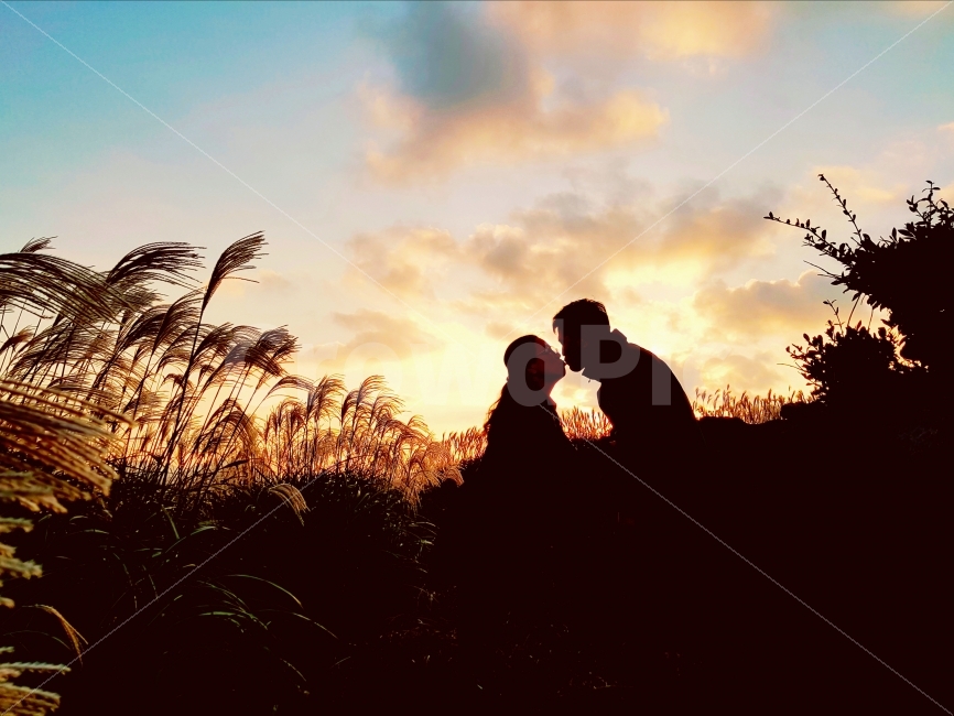 love,sky,Byeolsae Oreum,Hill,shadow,Jeju,lover,Silver grass,jeju island,touch,married couple,kiss,Emotional photo,cloud,happiness,sunset,autumn,nightfall,rise,parents