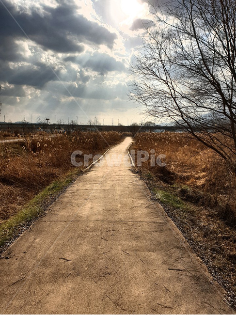 산책,하늘,햇빛,sky,walk,tree,가을,계절,fall,autumn,season,자연,풍경,nature,landscape,ground,바닥,path,통로