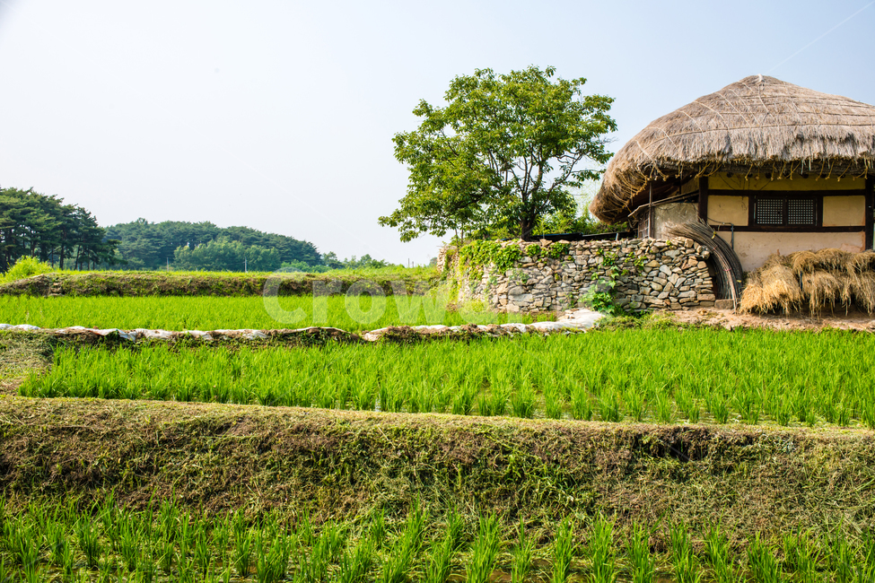 한국,아산시,외암민속마을,민속,전통,시골,한옥,외암마을,자연,풍경,nature,landscape,한국전통,한국문화,korean traditional,korean culture,건축물,건물외관,exterior,building,structure,architecture,construction,outdoors,옥외,건물