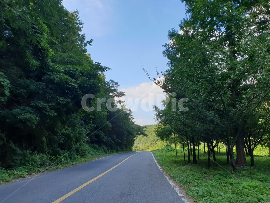 산,구름,파랑,bluesky,녹색초록,green,자연풍경,여름,나무,숲
