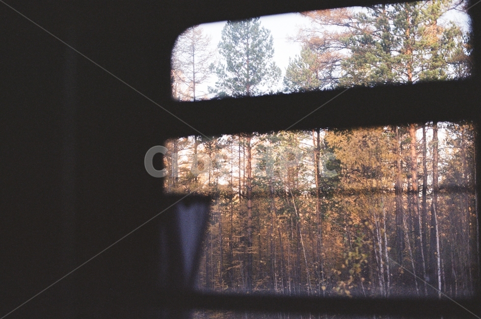 fruit,TransSiberian Railway,train travel,travel,train