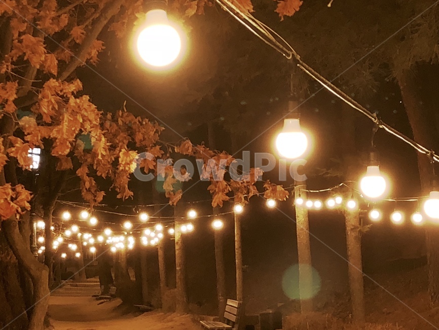벤치,전구,공원,저수지,나무,겨울,밤,빛,따뜻한,고요함,bench,bulb,lake,park,nopeople,tree,winter,light,warm,night,야경,밤,풍경,nightscape,night,landscape,flare,플레어,lighting,조명