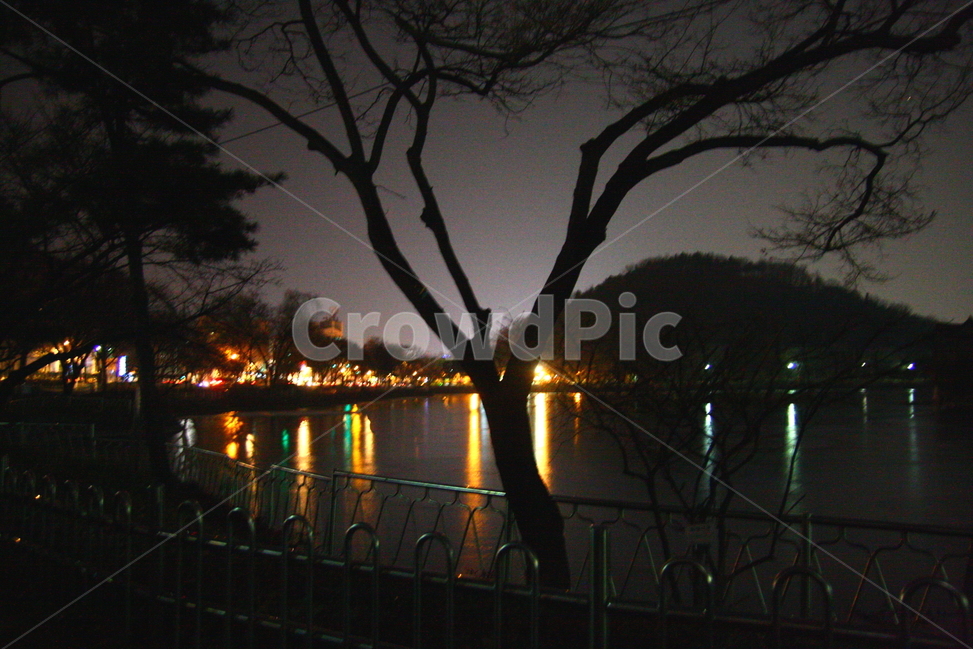 풍경,야경,호수,불빛,반사,야경,밤,풍경,nightscape,night,landscape,식물,자연,plants,nature,나무,trees,wood