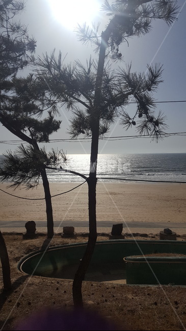 바다,해변,햇빛,휴식,따뜻,해변,바다,beach,sea