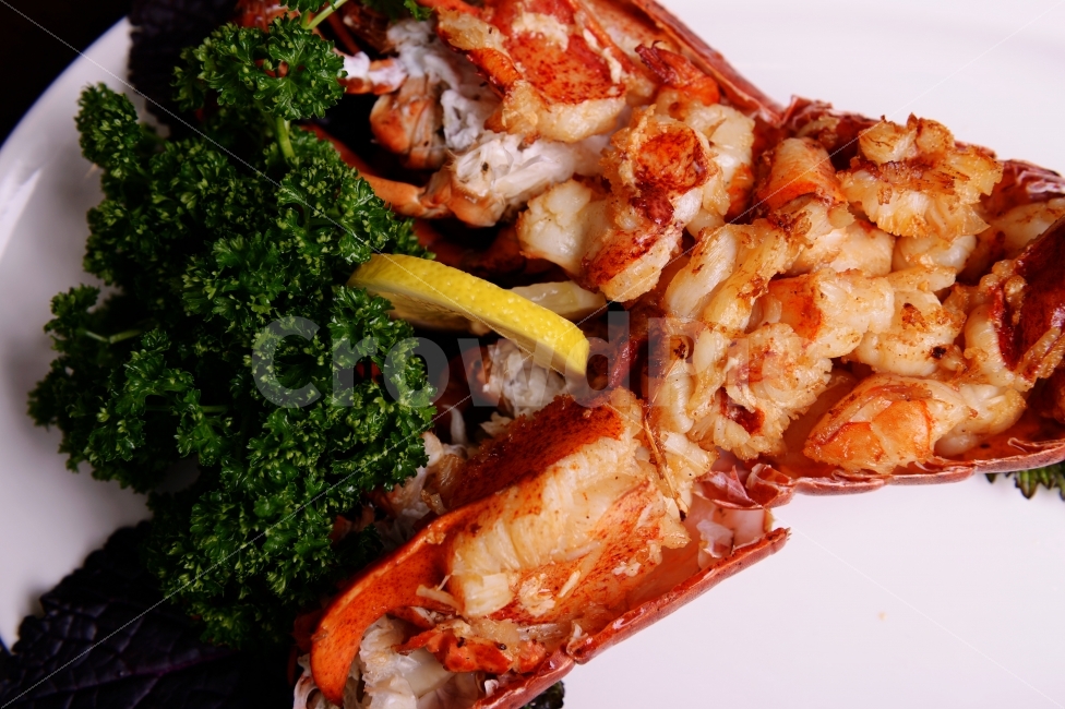 음식,파슬리,소스,랍스타,랍스터,해산물,레몬,parsley,sauce,seafood,lemon,lobster,food,음식,식재료,요리,food,cook,meal,dishes,food reserves,수산물,해산물,fishery products,seafood,양식,서양음식,서양요리,western food,western dishes,western meal,western cook