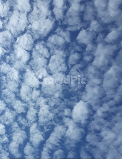 자연,하늘,sky,구름,파랑,맑음