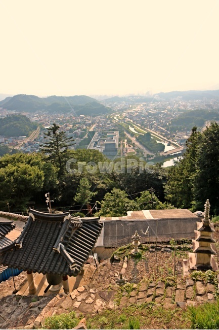 전주,jeonju,동고사,donggosa,temple,도시,풍경,city,landscape,한국도시풍경,한국도시경관,korea cityscape,한국전통,한국문화,korean traditional,korean culture,roof,지붕,plant,식물,abies,아비,fir,전나무,tree,나무